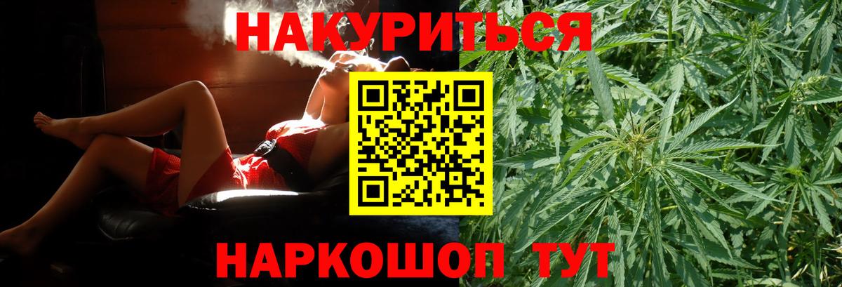 Бошки Шишки планчик  Каннабис VHQ  Шишки марихуана семена  Вход с VPN  Реж 